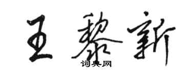 駱恆光王黎新行書個性簽名怎么寫