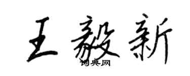 王正良王毅新行書個性簽名怎么寫