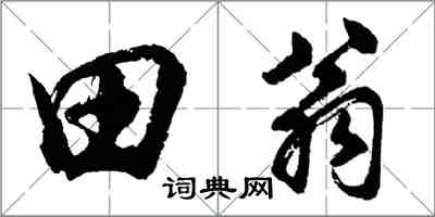 胡問遂田翁行書怎么寫