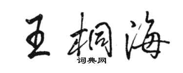 駱恆光王桐海行書個性簽名怎么寫