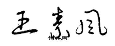 曾慶福王素風草書個性簽名怎么寫