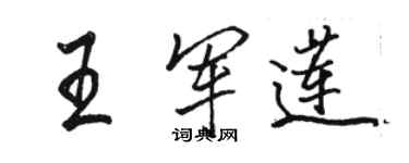 駱恆光王軍蓮行書個性簽名怎么寫