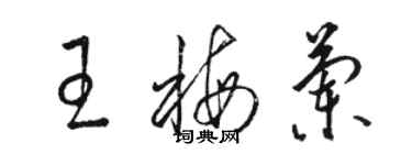 駱恆光王梅蘭草書個性簽名怎么寫