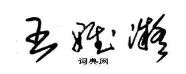 朱錫榮王雅凝草書個性簽名怎么寫