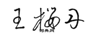 駱恆光王櫻丹草書個性簽名怎么寫