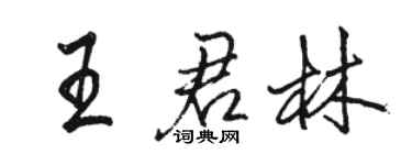 駱恆光王君林行書個性簽名怎么寫