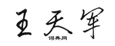 駱恆光王天軍行書個性簽名怎么寫
