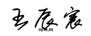 朱錫榮王辰宸草書個性簽名怎么寫