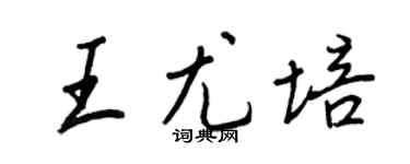 王正良王尤培行書個性簽名怎么寫