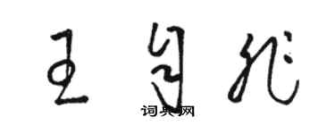 駱恆光王自非草書個性簽名怎么寫