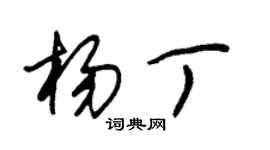 朱錫榮楊丁草書個性簽名怎么寫