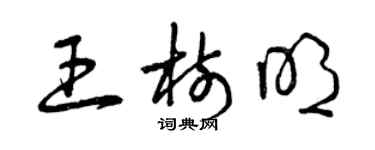 曾慶福王樹明草書個性簽名怎么寫