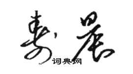 駱恆光壽晨草書個性簽名怎么寫