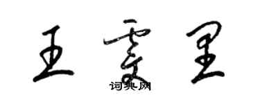 梁錦英王雯里草書個性簽名怎么寫