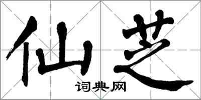 翁闓運仙芝楷書怎么寫