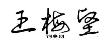 曾慶福王梅堅草書個性簽名怎么寫