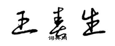 曾慶福王春生草書個性簽名怎么寫