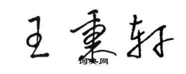 駱恆光王秉軒草書個性簽名怎么寫