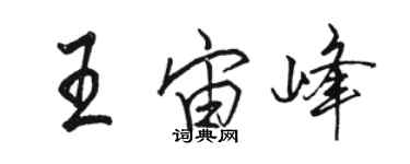 駱恆光王宙峰行書個性簽名怎么寫