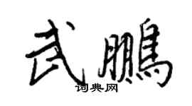 王正良武鵬行書個性簽名怎么寫