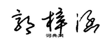 朱錫榮郭梓涵草書個性簽名怎么寫