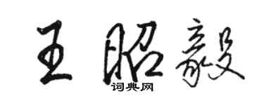 駱恆光王昭毅行書個性簽名怎么寫