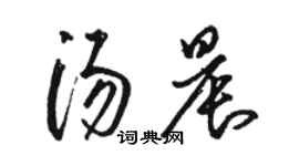 駱恆光湯晨草書個性簽名怎么寫