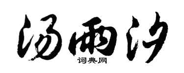 胡問遂湯雨汐行書個性簽名怎么寫