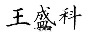 丁謙王盛科楷書個性簽名怎么寫