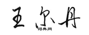 駱恆光王爾丹行書個性簽名怎么寫