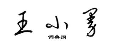 梁錦英王小曼草書個性簽名怎么寫