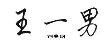 駱恆光王一男行書個性簽名怎么寫