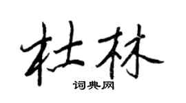 王正良杜林行書個性簽名怎么寫
