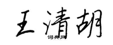 王正良王清胡行書個性簽名怎么寫