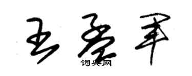 朱錫榮王孟軍草書個性簽名怎么寫