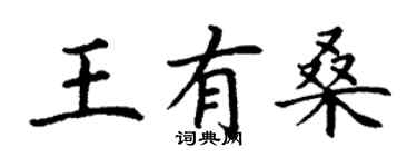 丁謙王有桑楷書個性簽名怎么寫