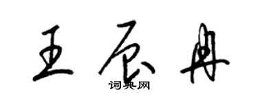 梁錦英王辰冉草書個性簽名怎么寫