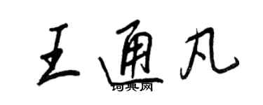 王正良王通凡行書個性簽名怎么寫