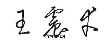 駱恆光王震幸草書個性簽名怎么寫