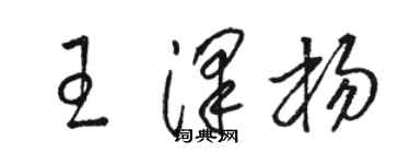 駱恆光王澤楊草書個性簽名怎么寫