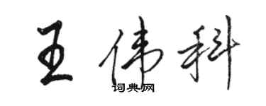 駱恆光王偉科行書個性簽名怎么寫