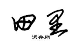 朱錫榮田裡草書個性簽名怎么寫