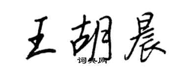 王正良王胡晨行書個性簽名怎么寫