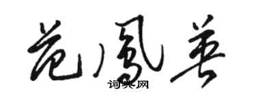 駱恆光范鳳英草書個性簽名怎么寫