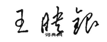 駱恆光王映銀草書個性簽名怎么寫