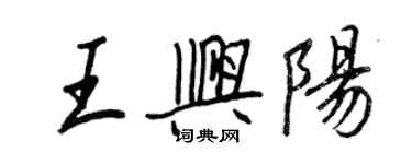 王正良王興陽行書個性簽名怎么寫