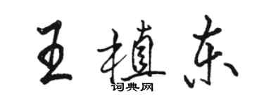 駱恆光王植東行書個性簽名怎么寫