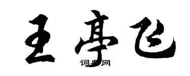 胡問遂王亭飛行書個性簽名怎么寫