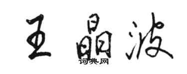 駱恆光王晶波行書個性簽名怎么寫