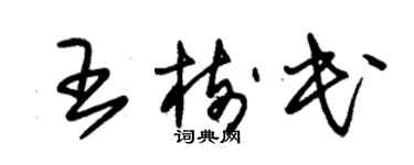 朱錫榮王樹民草書個性簽名怎么寫